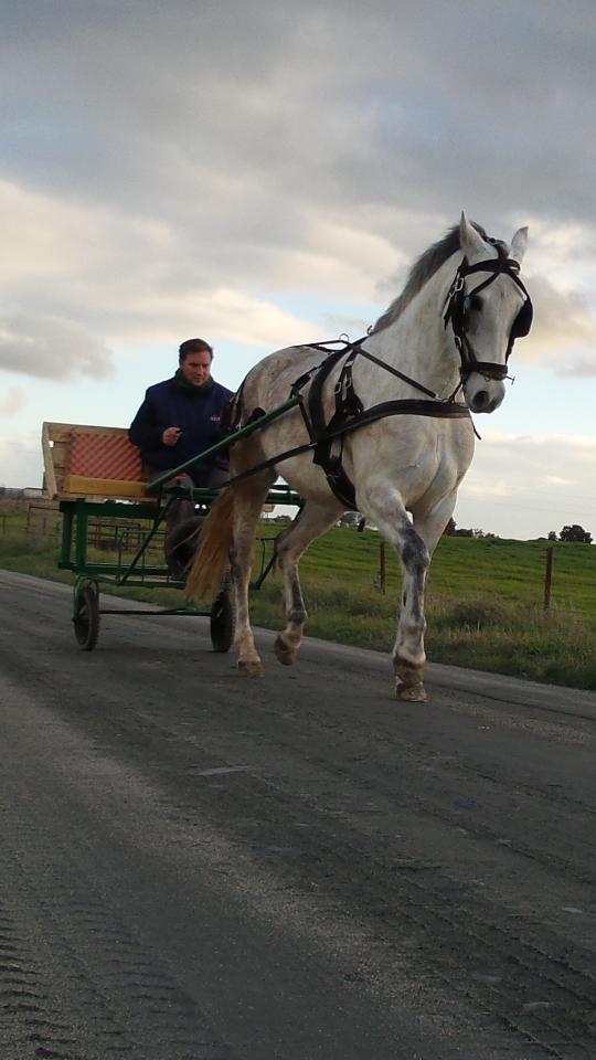 Dando una vuelta con mi amigo miguel moreno