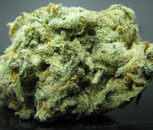 WeedChronicIe's tweet photo. Pineapple Express😱😍 http://t.co/nbp0odXSNA