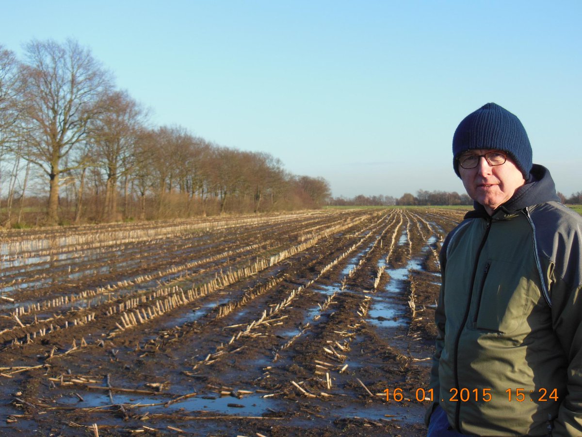 henkvanrhee52's tweet photo. Goede bemesting lijkt een absolute voorwaarde voor terugkeer van de weidevogel. Daarnaast ... vossenjacht! http://t.co/ANiBfCM4MJ