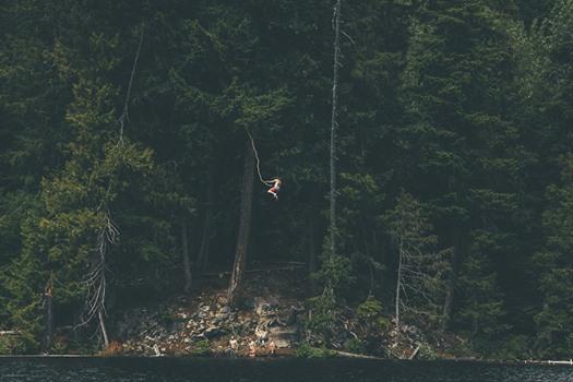 BlueForest_'s tweet photo. Live your dreams. Go on a #treehouseadventure http://t.co/fGIOYuTagc http://t.co/b8PgGBA3BD