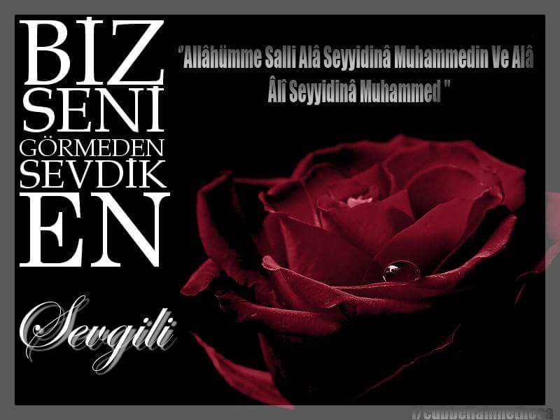 sedamaman's tweet photo. En SEVGİLİ.. http://t.co/l5e7mpqtuV