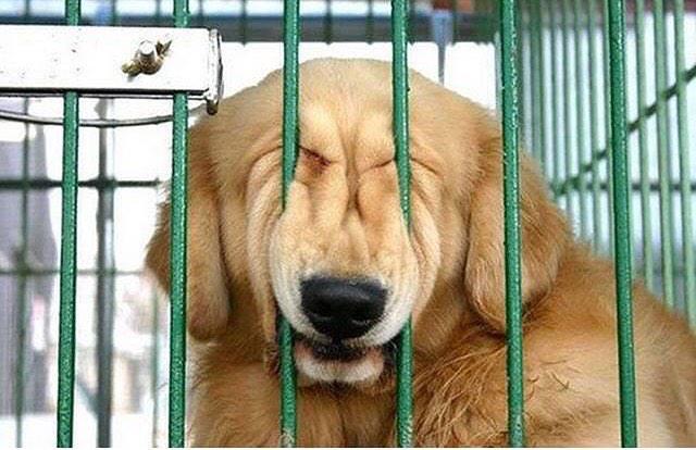 OGTutor's tweet image. Just hang in there- I know it's #Friday! Force that #smile- u'll get out soon!!! #TGIF