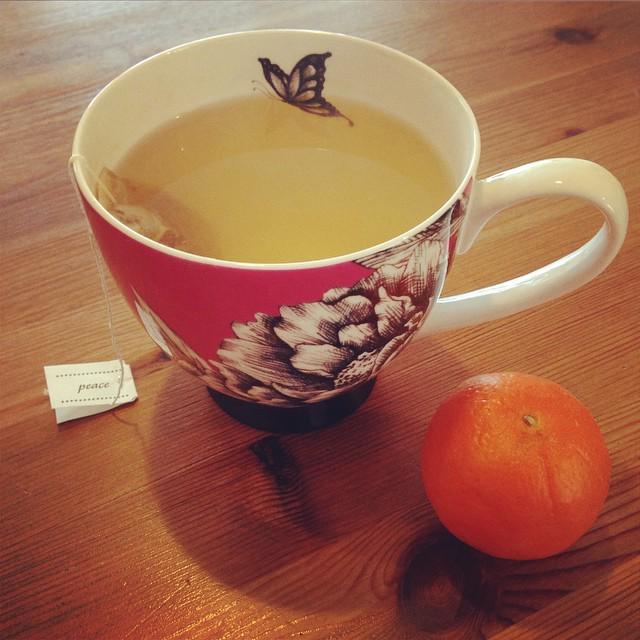 yogawithdebbie's tweet image. This + a #gillmoregirls marathon is what my afternoon looks like today. Down with #hellacold  Thanks to Melissa K...