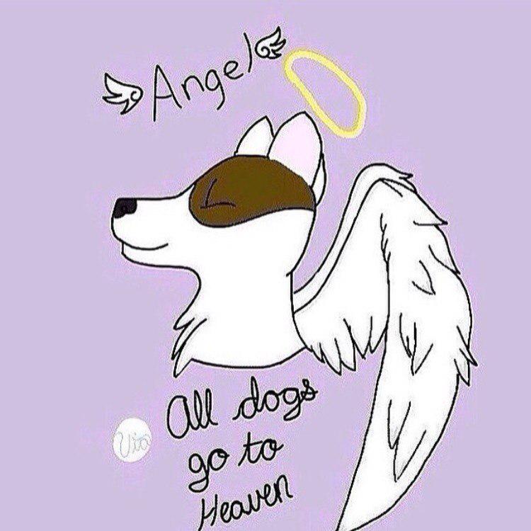 #ripangel