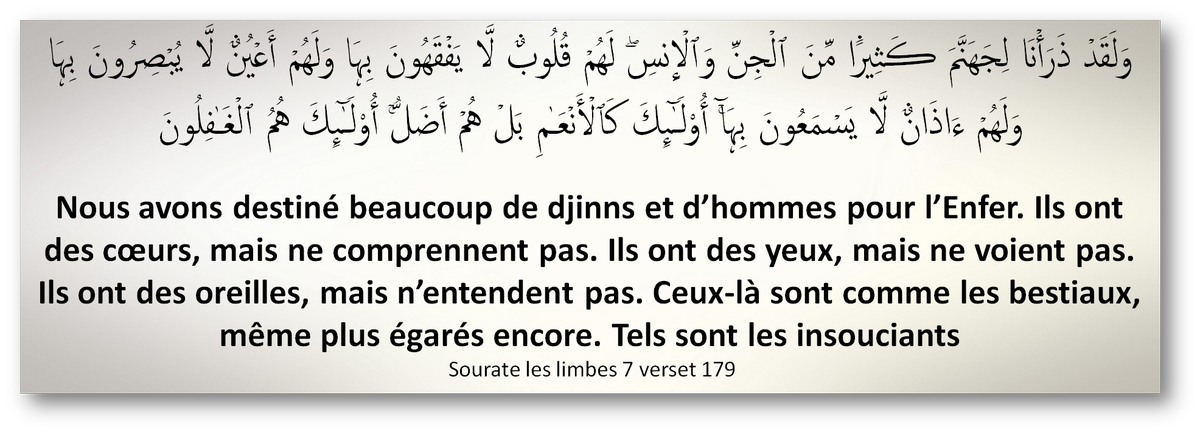 MINHAJSUNNA's tweet photo. à tous les pigeons/moutons ultra contemporains (ils se reconnaitront incha Allah) http://t.co/ZR2oXw9IWG