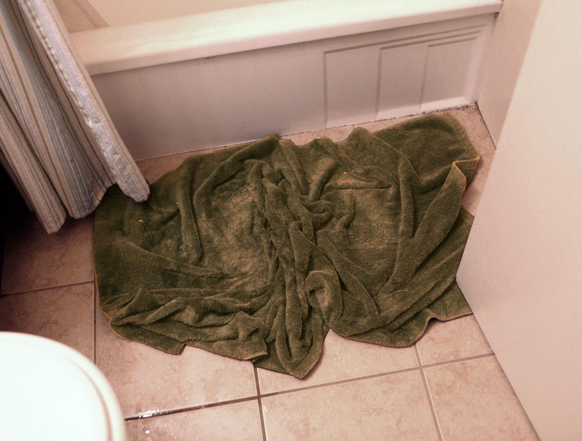 TheOnion's tweet photo. Most Disgusting Towel Spends Final Days Relegated To Role As Bath Mat http://t.co/QUGw6HyyOE http://t.co/aqcKcjZPte
