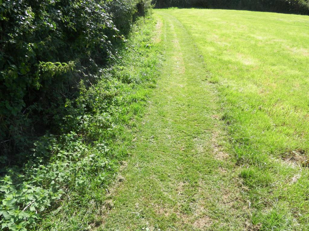 Monarchsway's tweet photo. Fantastic Mowed route near Lower #Pymore on The Monarchs Way #Dorset Section 42 #Bridport to #Broadwindsor 14 miles http://t.co/ylebfilZfh
