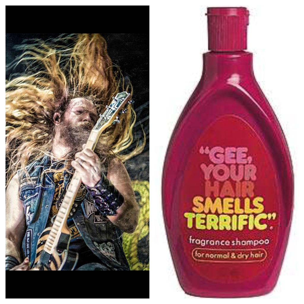 Although I May Smell Like A DISHRAG WHORE,People always say to Me-Hey ZAKKY! GEE YOUR HAIR SMELLS TERRIFIC!!! tBLSt