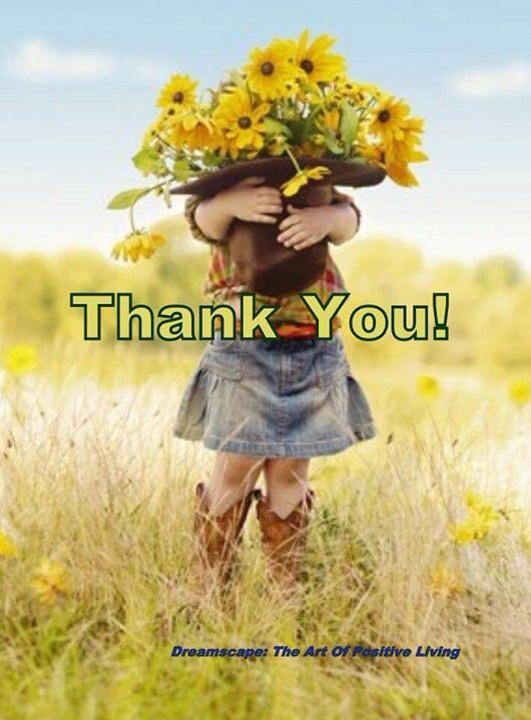 crubapaladsetha's tweet photo. Thank you so much every. You are every kind. :) http://t.co/IfxckrEZs5