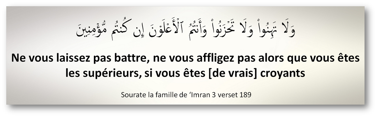 MINHAJSUNNA's tweet photo. ne vous affligez pas alors que vous êtes les supérieurs http://t.co/wPCWiNR3fw
