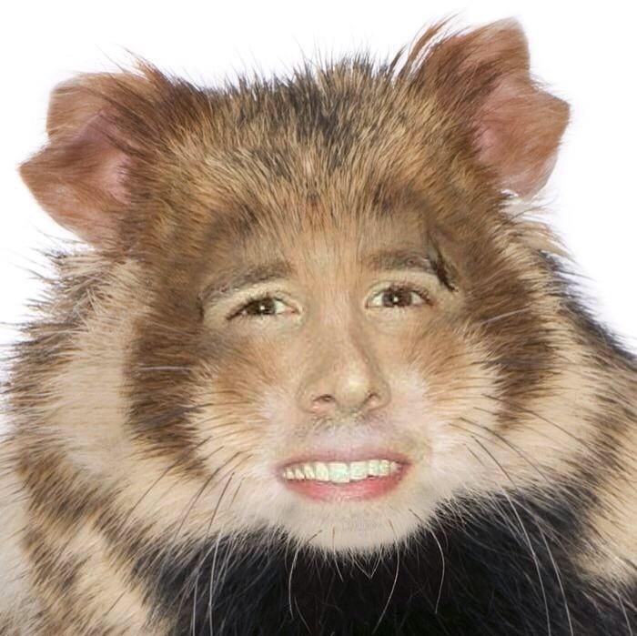 Happy birthday  sorry I don\t have any embarrassing pictures of you but here\s Nicolas Cage as a hamster! 