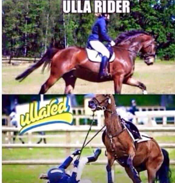 humorglenn's tweet photo. #gbghumor http://t.co/t8BcJUNfB2