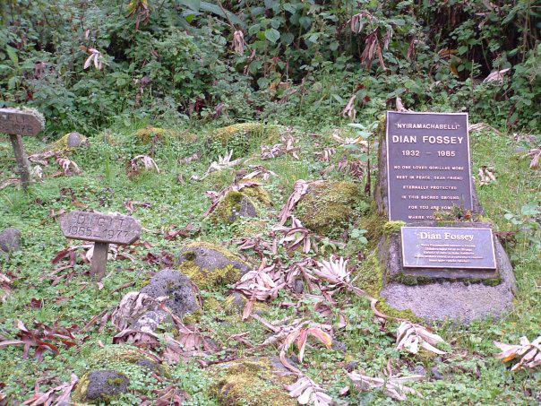 Happy Birthday Dian Fossey (R.I.P.) - was lucky enuf to visit Karisoke a few years ago. 