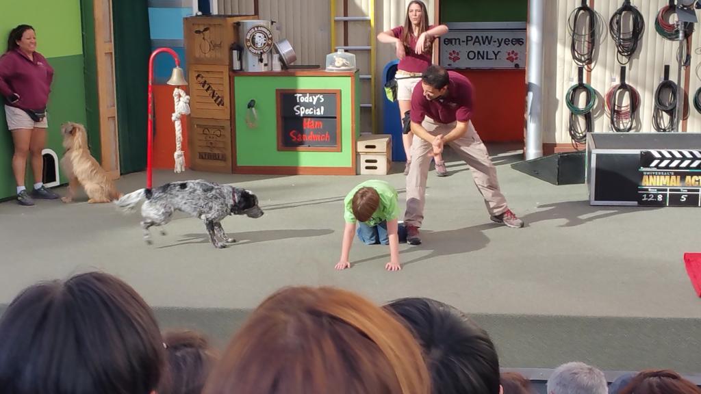 Zachary_Haven's tweet photo. Yay! I got to be #trainerforaday @UniStudios #AnimalActors show! #animallover http://t.co/GSRlwCmjFZ