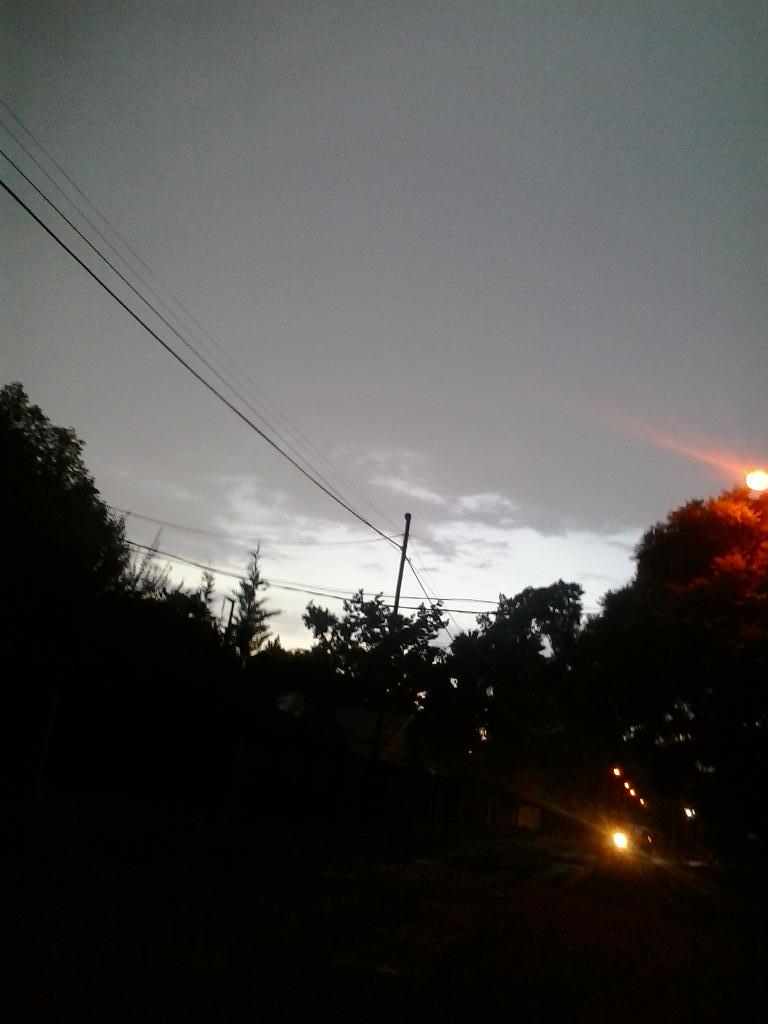 Rodasrozy tweet picture