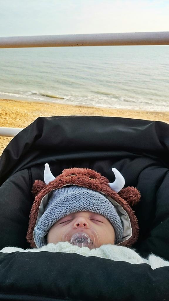 deddiecain's tweet image. Excited to take this guy to #Whitby soon!!! Roll on summer #bramcain