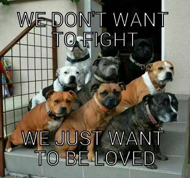 MiaLarson's tweet photo. Very telling. Please spread awareness &amp; act to help those without a voice.  #anticruelty  RT  “@mch7576: http://t.co/gXnOGkQOaV”