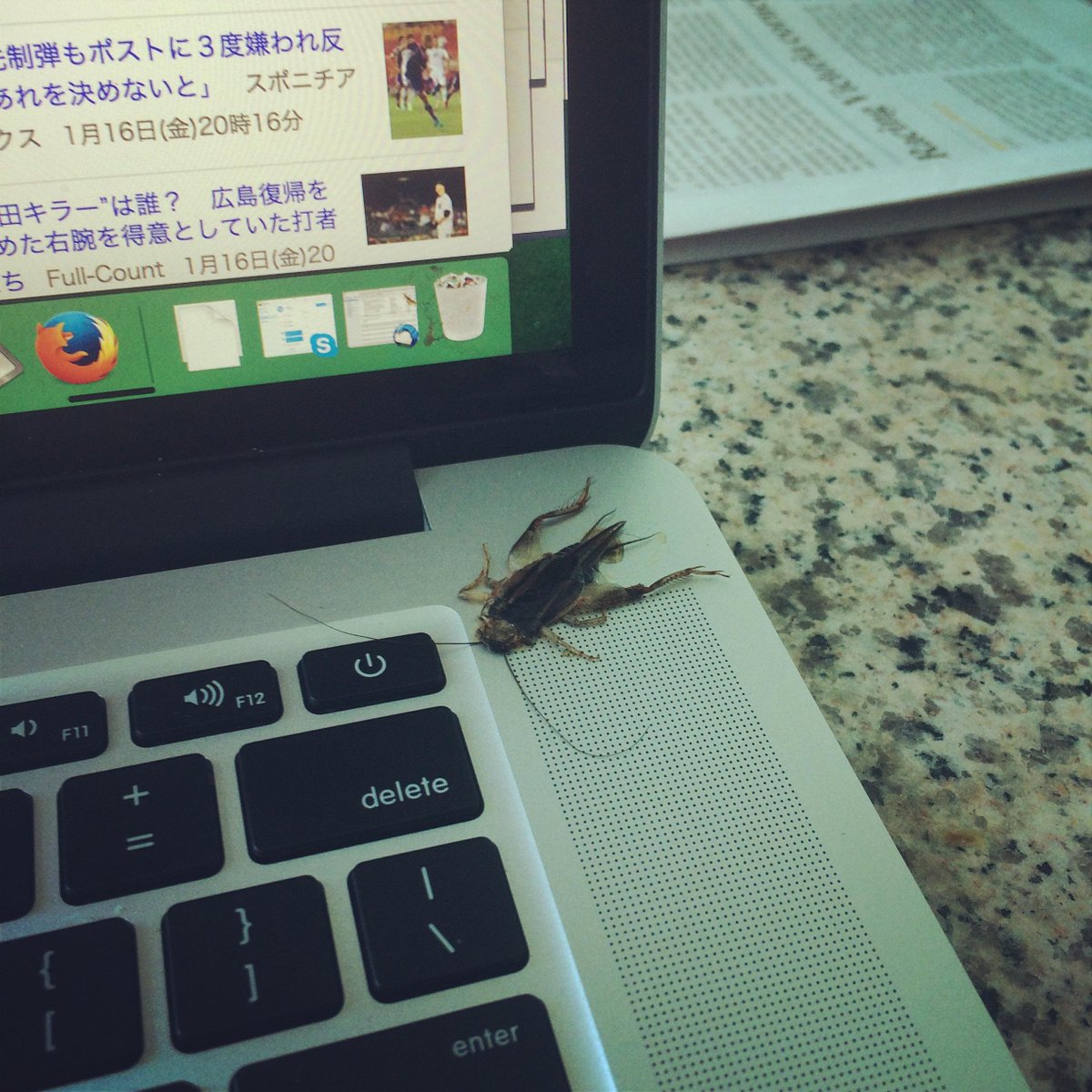 Dan Orlowitz Ar Twitter 昨日24時に近くパソコンを閉めてメディアセンターを後ろにした 今朝11時半にやっとパソコンを開けたら なんと便乗者 飛蝗のよう 笑 オーストラリア 怖ぇぇぇぇ Http T Co 6ylynfnm0x Dan Orlowitz Ar Twitter 昨日24時に近くパソコンを閉めてメディアセンターを後ろにした 今朝11時半にやっとパソコンを開けたら なんと便乗者 飛蝗のよう 笑 オーストラリア 怖ぇぇぇぇ Http T Co 6ylynfnm0x