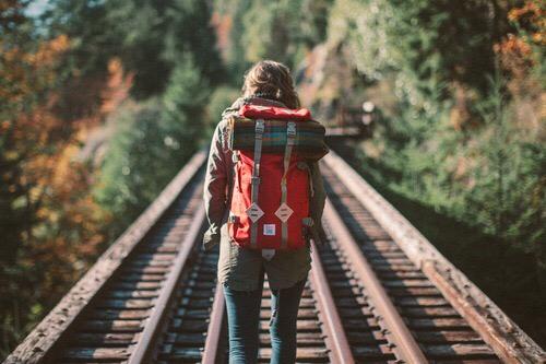 wander_always tweet picture