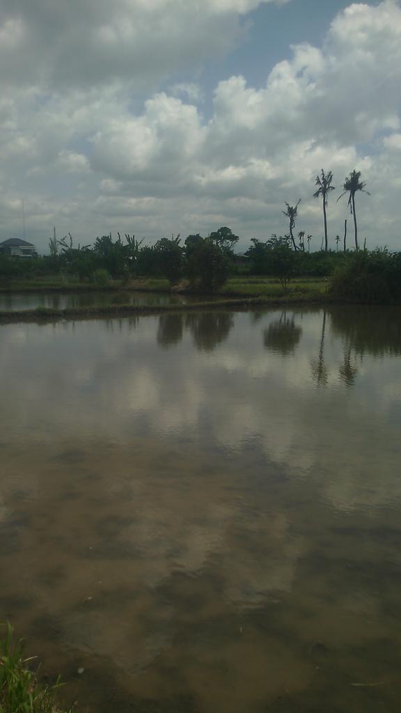 senaarjun tweet picture
