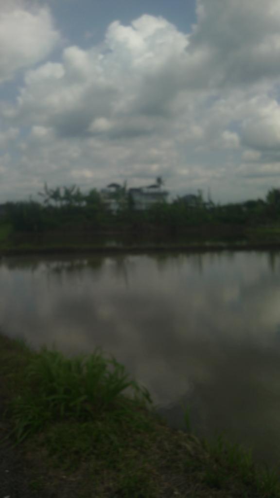 senaarjun tweet picture