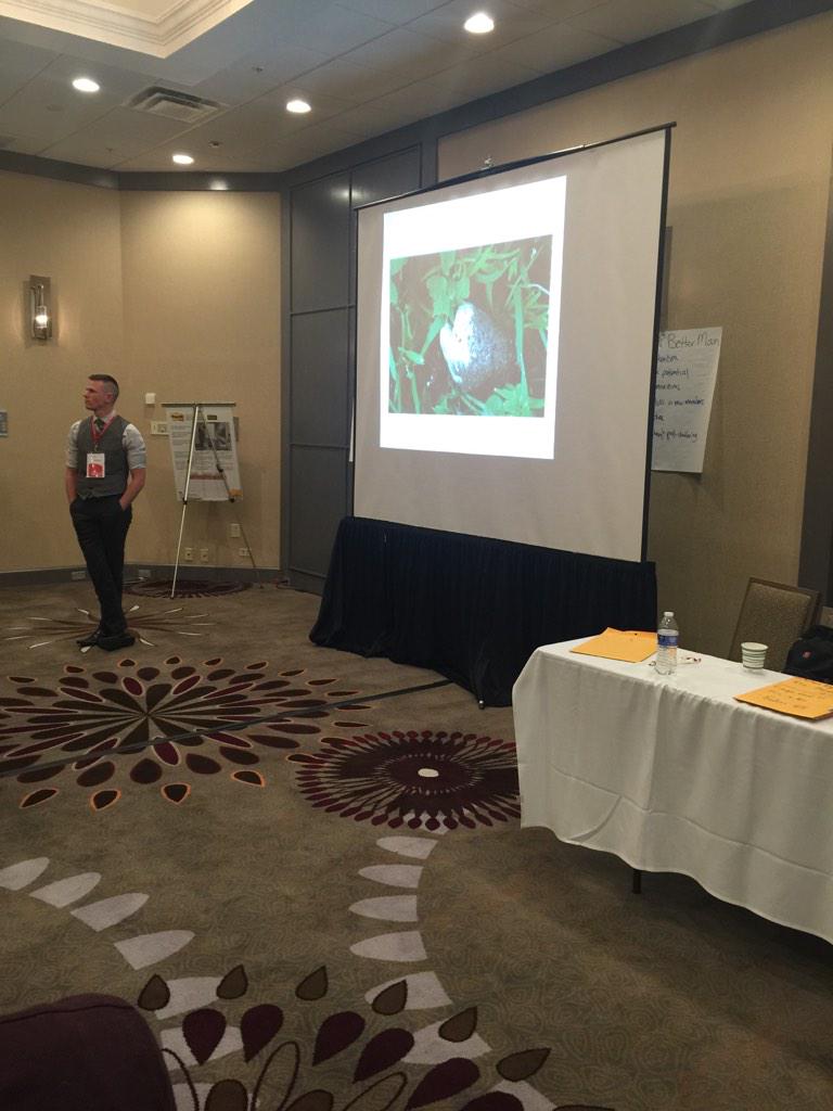 ASFDingo's tweet image. #whitespeck has hit #ASPBetterMan where is @SidewaysDeuce