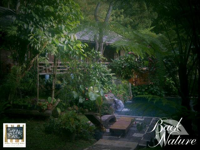 Back To Nature Villa At Puncak, Cisarua