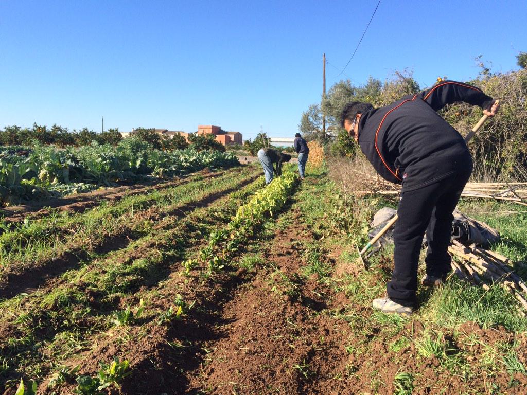 ay_menon's tweet photo. El #DocuRSP llega a la huerta valenciana con la @RSPValencia @RedSolidaridad #SomosRed http://t.co/aB3B56p9qp