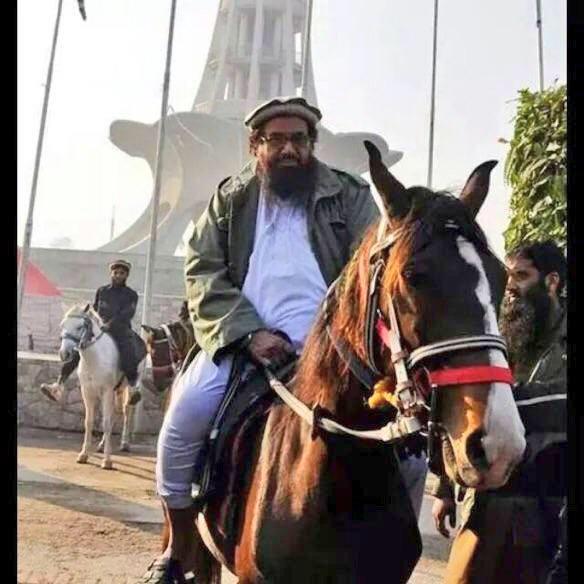 Image result for hafiz saeed horse