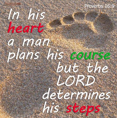 Tim Burt On Twitter Proverbs 16 9 NIV In His Heart A Man Plans His tim-burt-on-twitter-proverbs-16-9-niv-in-his-heart-a-man-plans-his