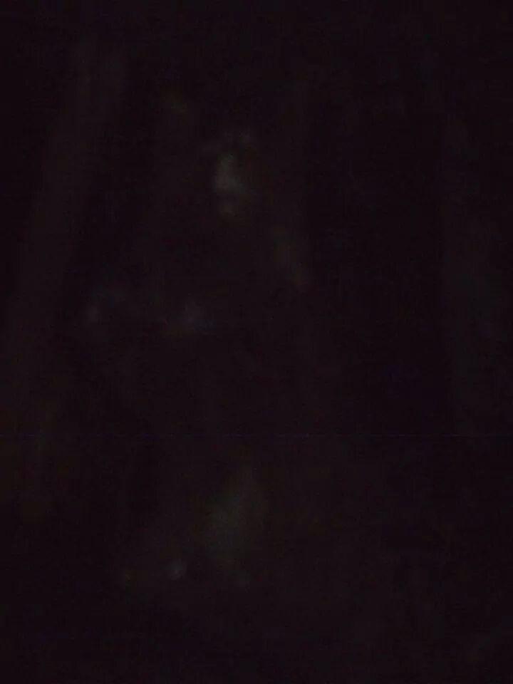 NightAmongGhost's tweet photo. My ghost bear... http://t.co/fZ7tu4hlw1