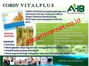 khasiat dan manfaat vitaplus untuk pria