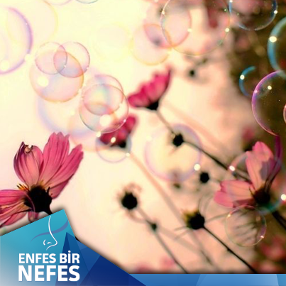 Mutlu hafta sonları :)