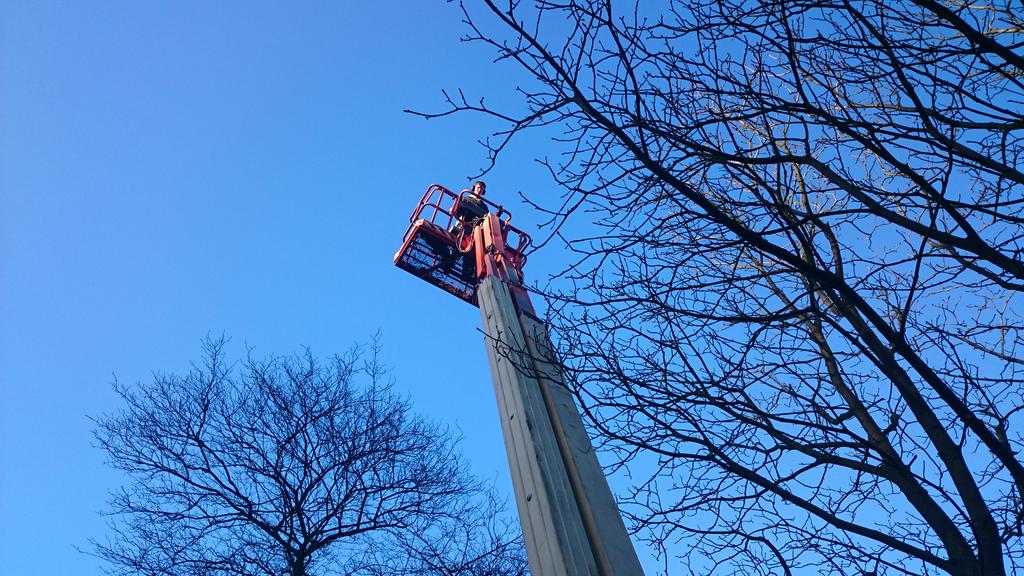 Bomen snoeien kan met de ladder;-) Maar wij doen het liever met de hoogwerker.