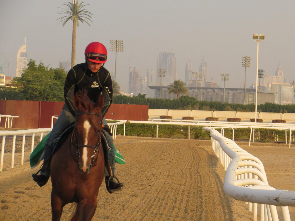 Wild Citizen is ok so far today after a bad return from the Guineas Trial