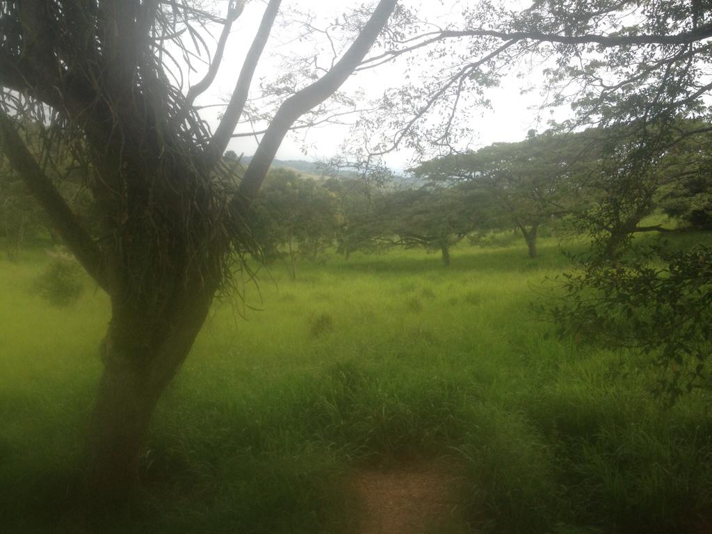 FincasAnapoima's tweet photo. Vendo 27 Fanegadas hermosas, uso de suelo vivienda campestre. Viabilidad de servicios. Anapoima. http://t.co/NufSjSHoqE