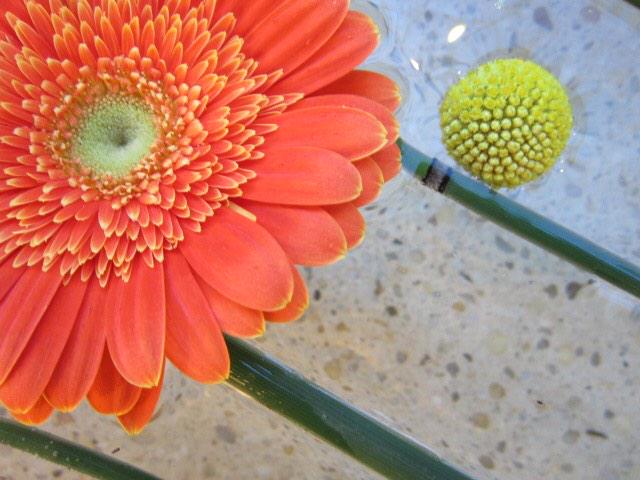 meandrojewelry's tweet image. What&apos;s your favorite way to spend a Saturday morning? #pondreflection #meandrojewelry #nyc