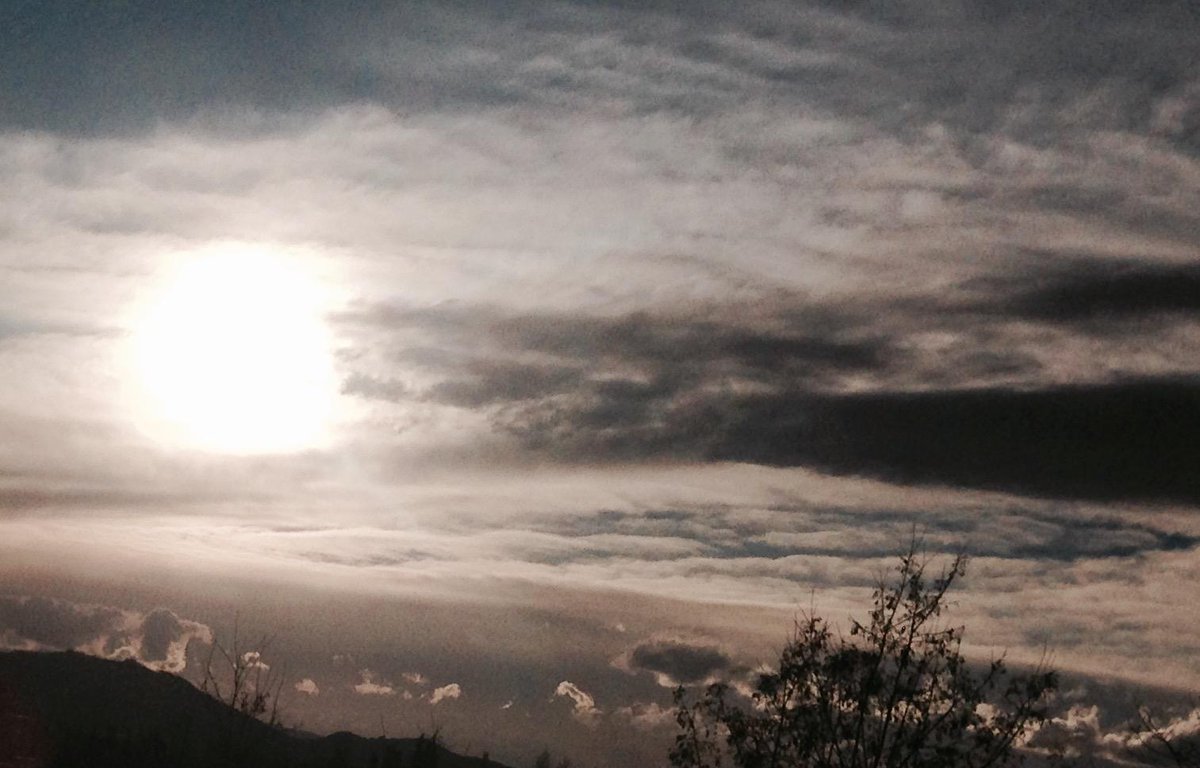 Biofafafa's tweet image. Ciao, Sole!!!
#scalaC