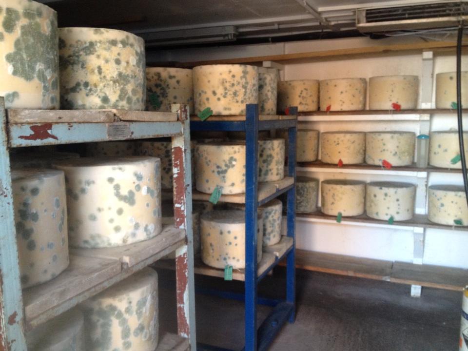 QuickesCheese tweet picture