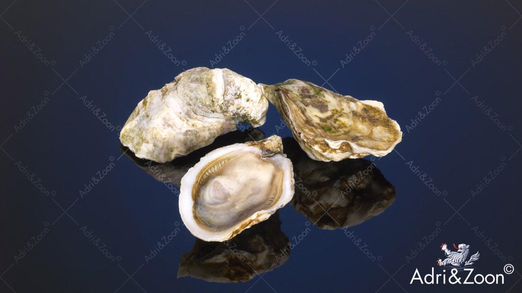 Oysterlovers! Have a nice weekend! #eatmorefish #eatmoreoysters
