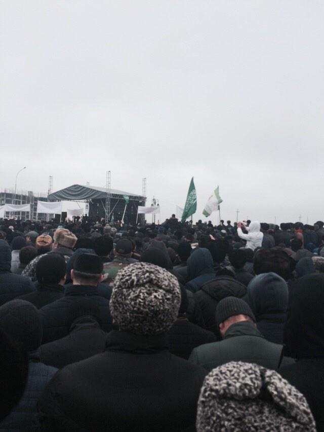 ingush599 tweet picture