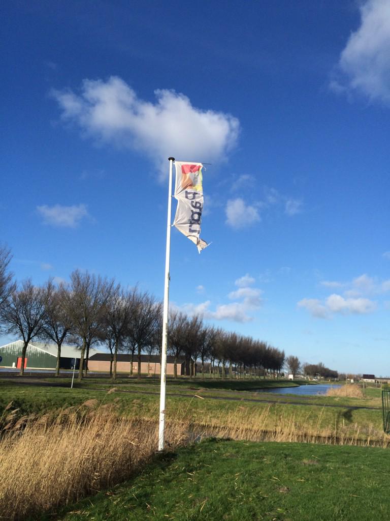 JansenPaprika's tweet photo. Na velen donkere dagen met veel wind eindelijk de zon☀️ mooi weer voor de plantjes, en om de vlaggen te vervangen http://t.co/buUI1PZnzt