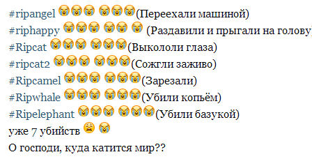 nica5767's tweet photo. #ripangel 
#riphappу
#Ripcat 
#ripcat2 
#Ripcamel 
#Ripwhale 
#Ripelephant http://t.co/H7KPNVsXbt