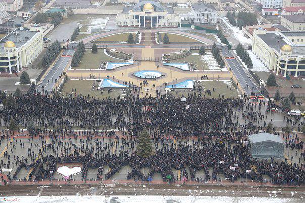 ingush599 tweet picture