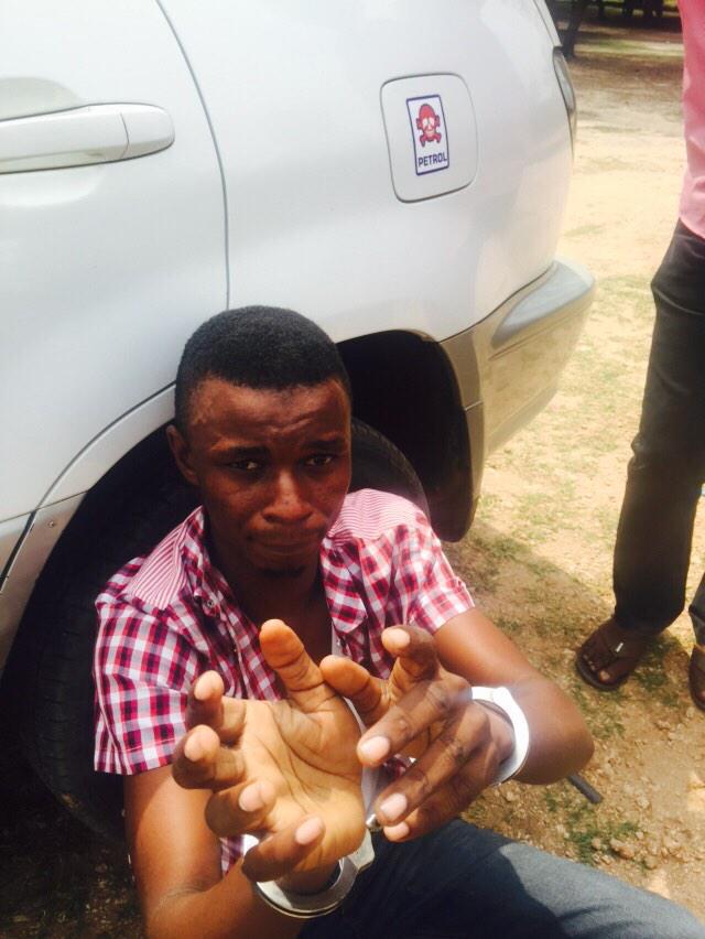 View image on Twitter