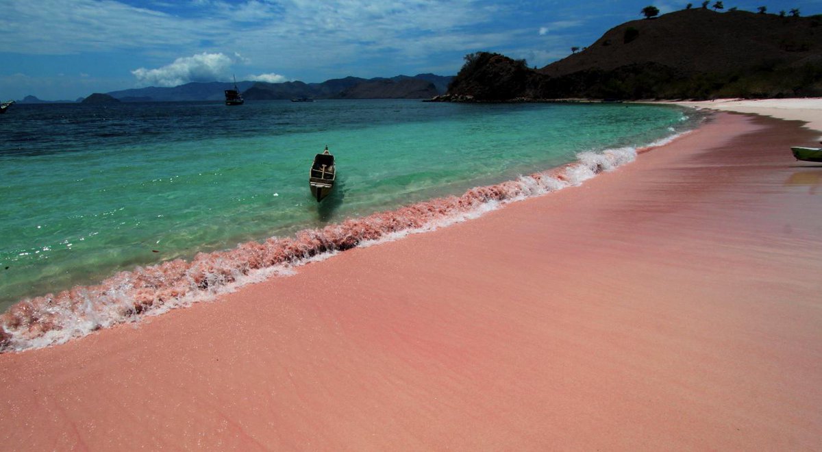 infojakarta's tweet photo. "@islandnesia: A natural white and red sands creating an amazing Pink Beach at Komodo National Park #islandnesia http://t.co/uocHzfakzO"