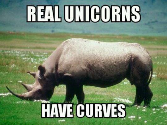 Don't let media distort your views about Unicorns