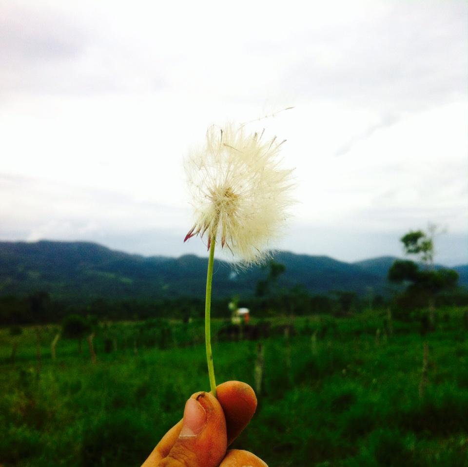 damenes96's tweet photo. Peace<3 http://t.co/LTnOftb5ds