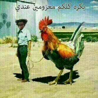 مع عكم الحارثي  (@aaaaaaa11111123) on Twitter photo 