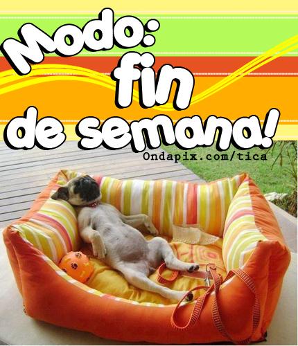 Bienvenidos al nuevo foro de apoyo a Noe #213 / 17.01.15 ~ 19.01.15 - Página 5 B7js2J7CAAAU09l
